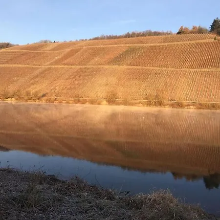 Kirchberg Appartement Mulheim an der Mosel